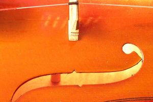 DO 12 GODINA: Dve violinistkinje srpskog porekla - prvakinje Kanade