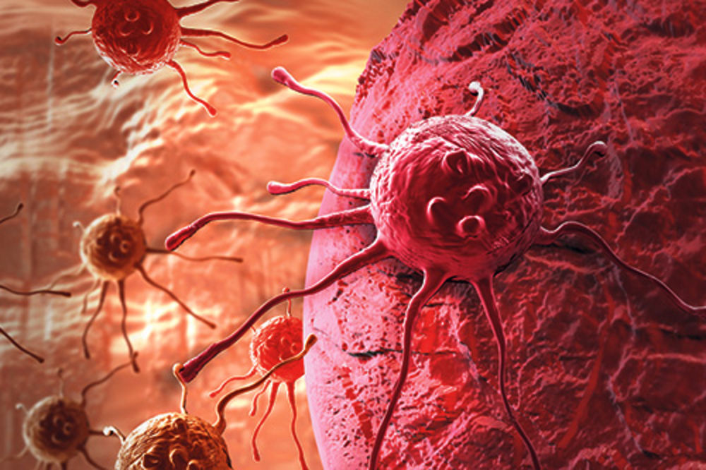 OBEĆAVAJUĆE: Lek protiv raka krije se u crevima!