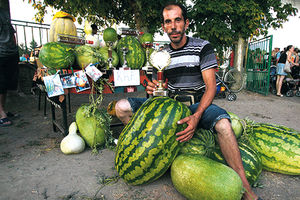 FEŠTA U OSIPAONICI: Najveća lubenica ima 45 kilograma