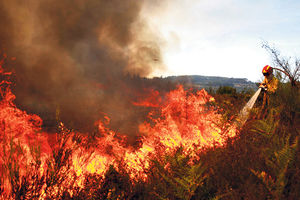 KRITIČNO: Širom zemlje gorela 282 požara