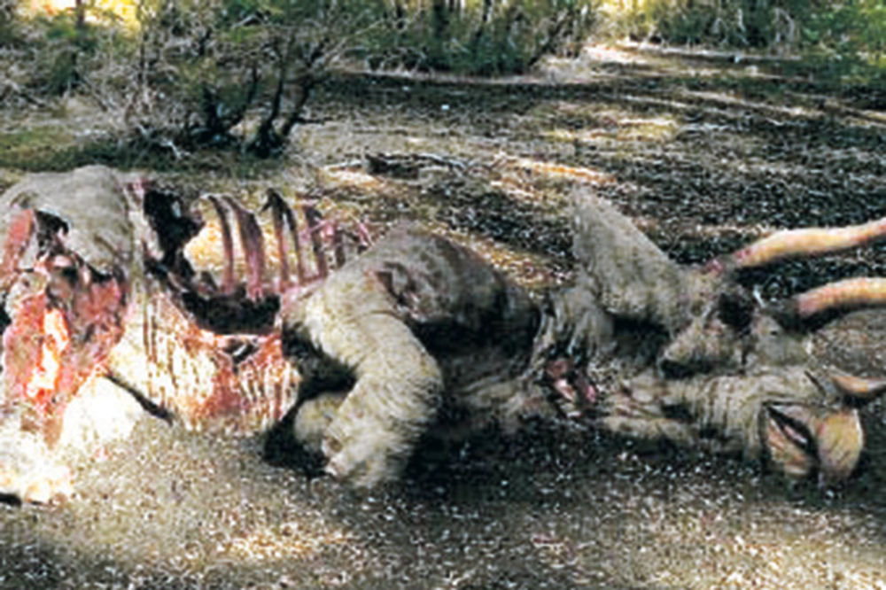 Dinosauruse uništili katarakta i gusenice