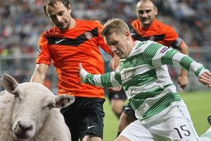 STOP RITUALU: UEFA zabranjuje Kazahstancima klanje ovaca!