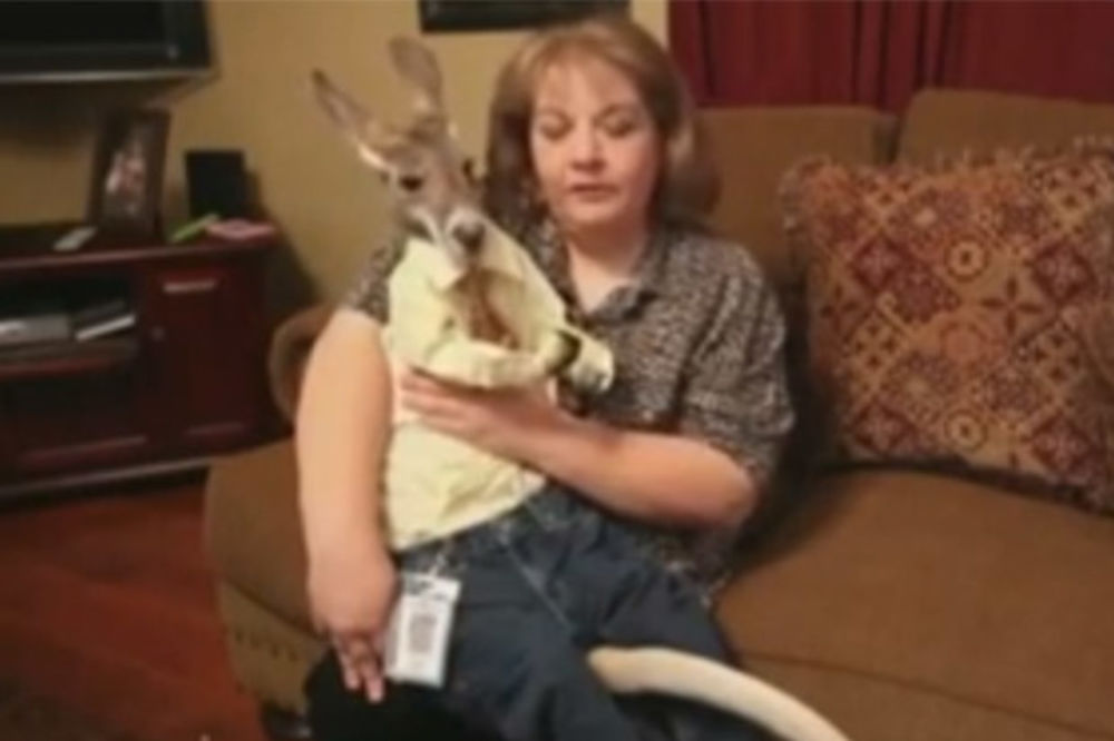 Usvojila kengura i preselila se u zoo-vrt da bi bili zajedno