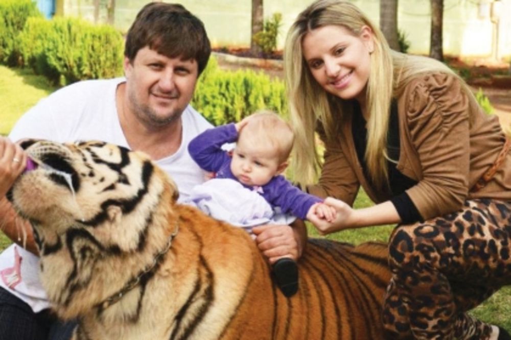 ŽIVOT SA 7 MAČAKA: Porodica jede, kupa se i jaše tigrove
