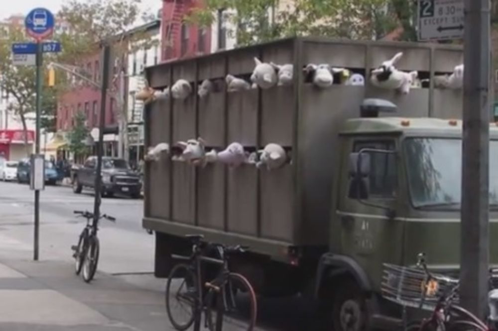 UPLAŠIO DECU: Kamion s plišanim životinjama krenuo u klaonicu!