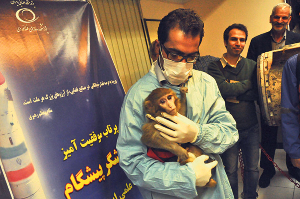 Iran ponovo šalje majmuna u svemir