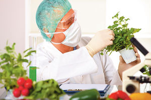 Ministar poljoprivrede: GM hrana je zdrava!