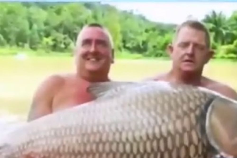 OBORILI REKORD: Britanski ribolovci upecali šarana teškog 60 kilograma