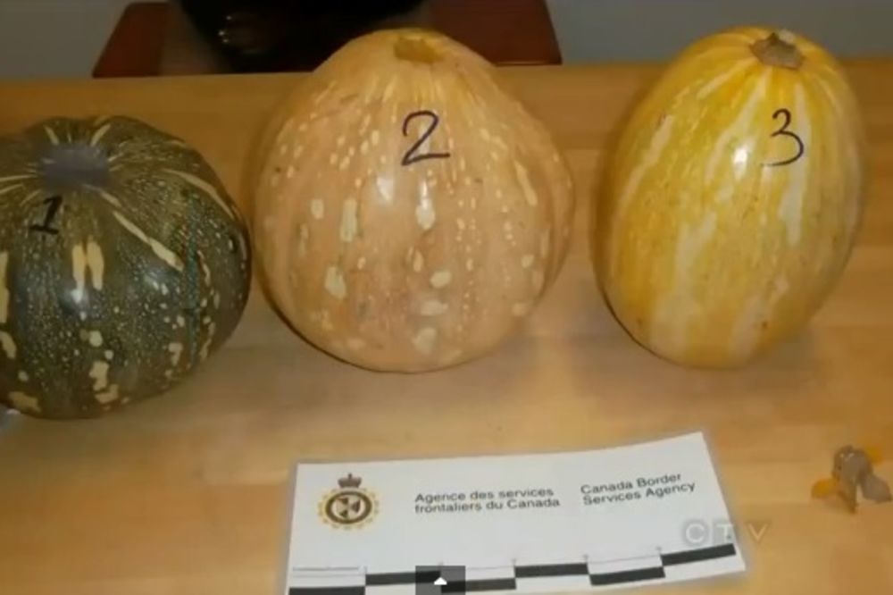 Tri bundeve napunjene kokainom pronađena na aerodromu u Kanadi