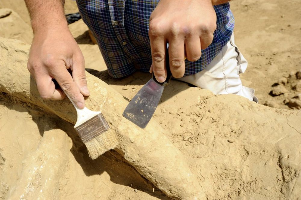 SENZACIONALNO OTKRIĆE: Faraon za kog istorija ne zna pronađen na jugu Egipta