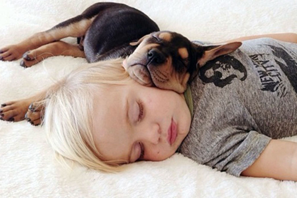 NIŠTA SLAĐE OD OVOGA: Beba i pas svakog dana spavaju zajedno!