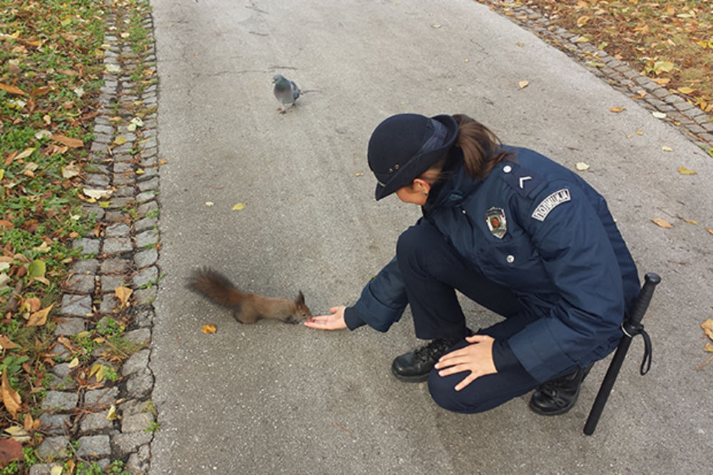 PRIJATELJI SA KALEMEGDANA: Policajci brinu o gladnoj veverici Milisavu