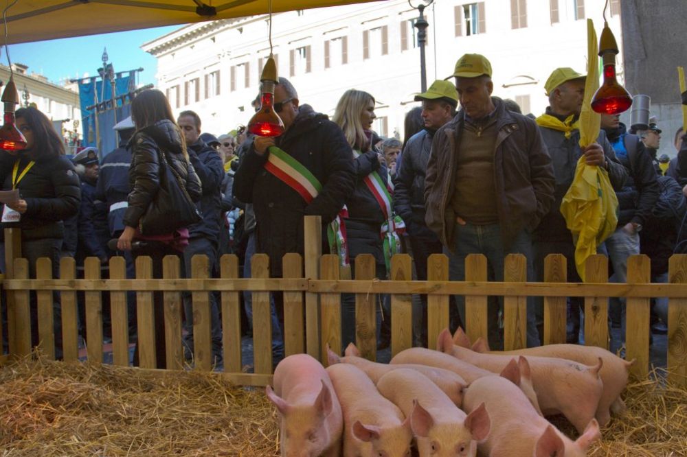 EPIDEMIJA TRIHINELOZE: Šapčani jeli meso zaražene svinje
