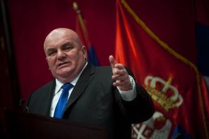 PALMA: Političari treba da se ugledaju na srpskog seljaka