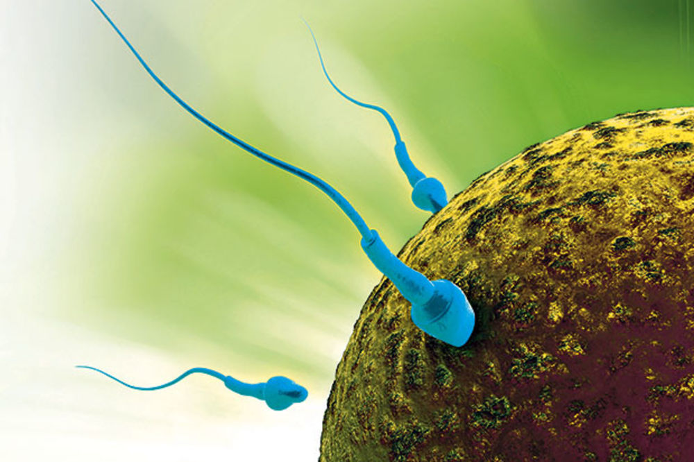 Robo-spermatozoidi budućnost oplodnje