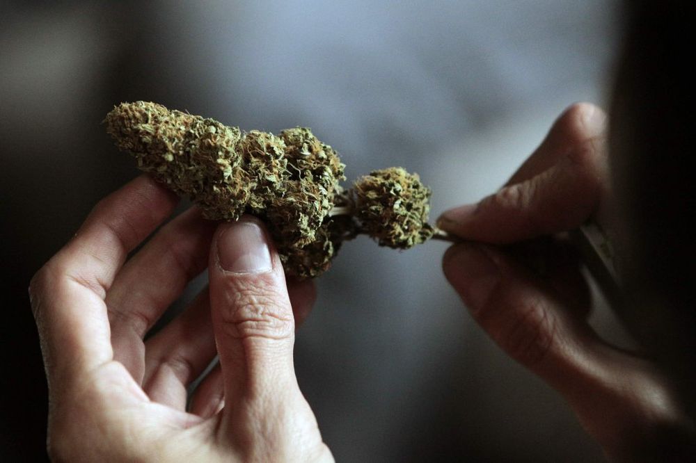 HORGOŠ: Carinici zaplenili 20 kg marihuane