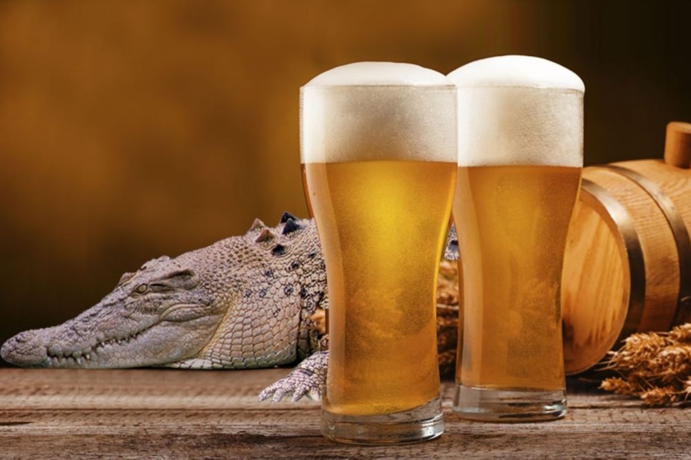 NEOBIČNA TRAMPA: Za pivo ponudio 1,2 metra dugog krokodila!
