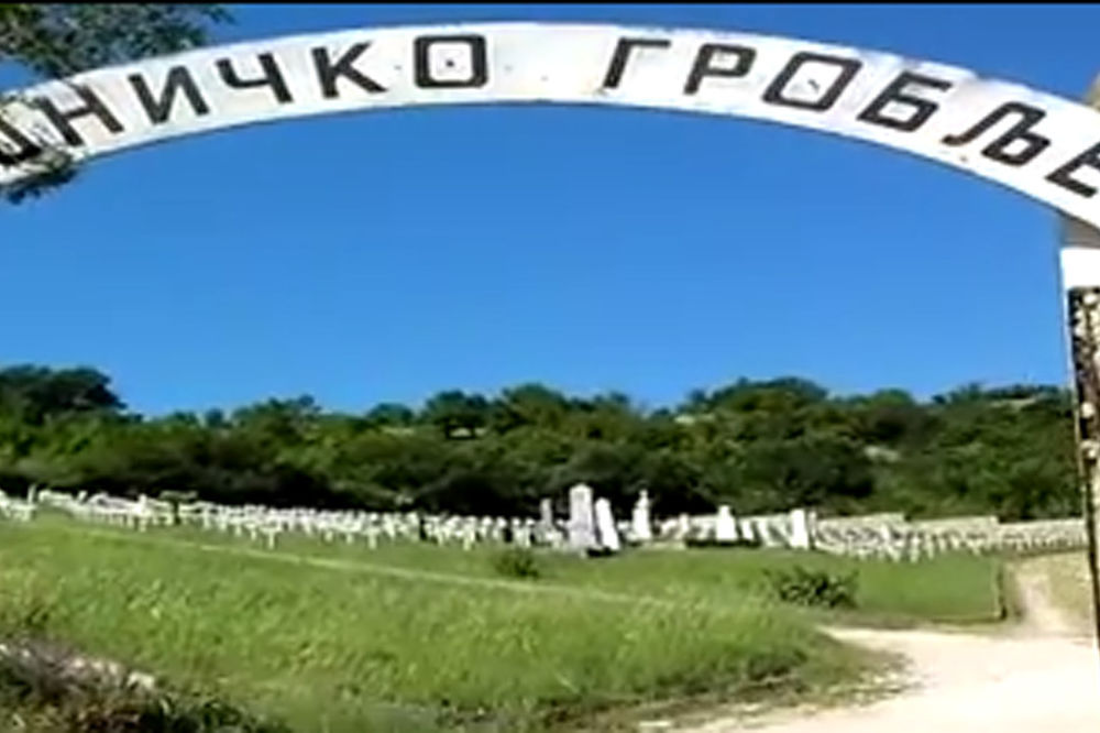 SRBIJO GDE ĆE TI DUŠA: Napasaju stoku na groblju srpskih junaka u Bitolju