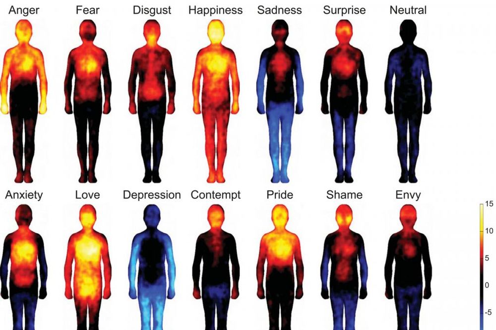 ŠARENA OSEĆANJA: Pogledajte kako naše telo reaguje na emocije