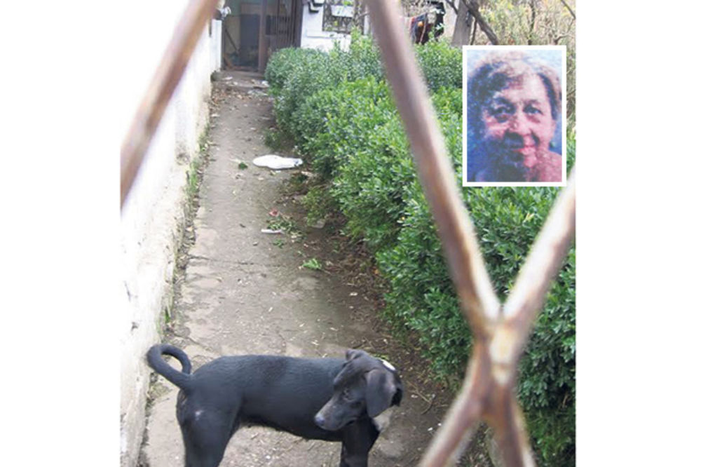 BRATANAC OTKRIO TELO: Mrtvoj starici u Kragujevcu psi oglodali noge!