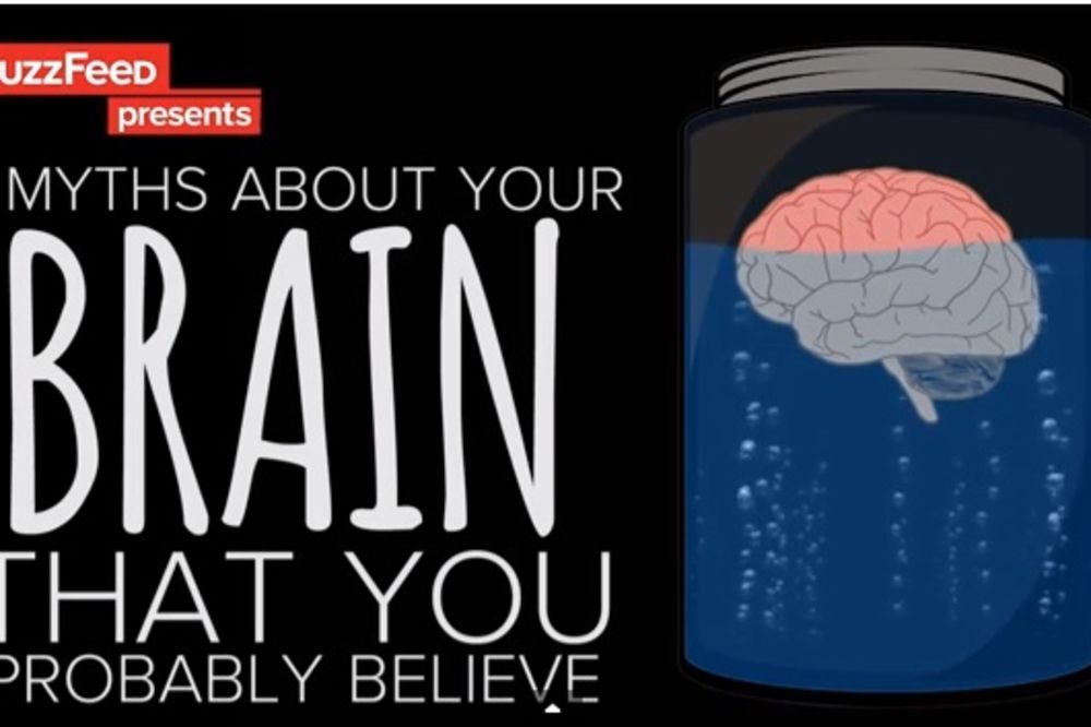 7 mitova o mozgu u koje ljudi veruju