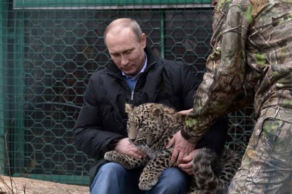 SVE ZA ZOI: Pogledajte kako Putin mazi leoparda