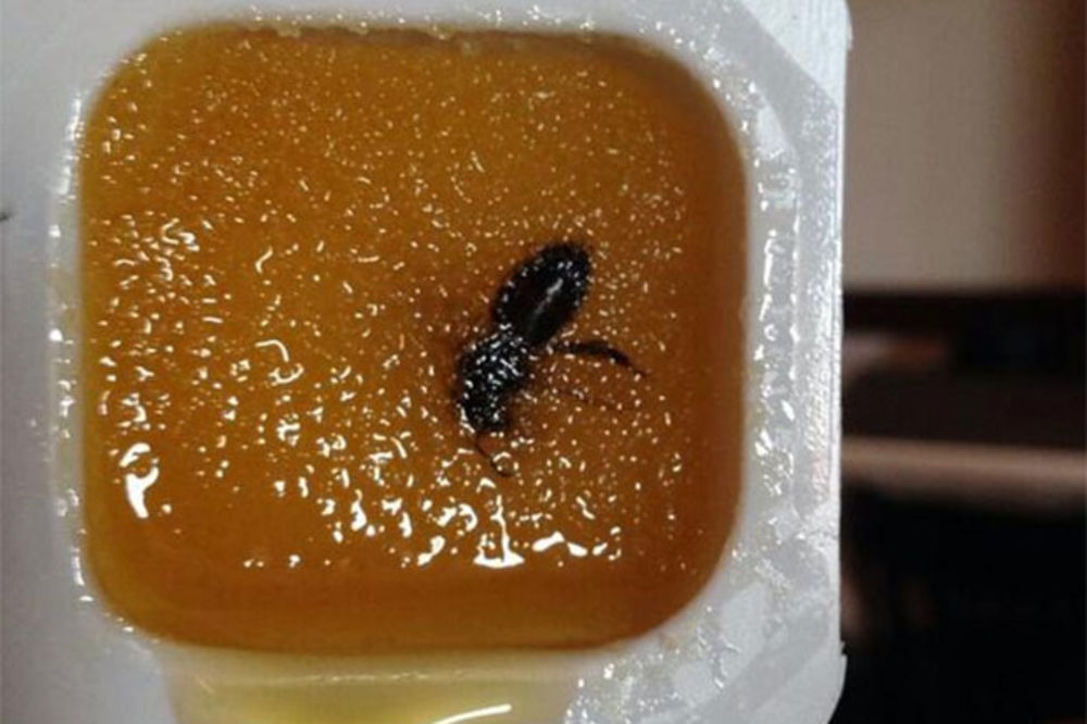AMERIKANCI OGORČENI SOČIJEM: Pronašli pčelu u pakovanju meda!
