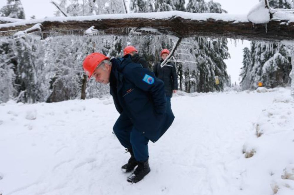LEDENI DRVOSEČA: Nevreme uništilo šume Slovenije, vetar sprečava popravke