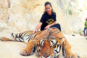 Dragana Models ukrotila tigra!