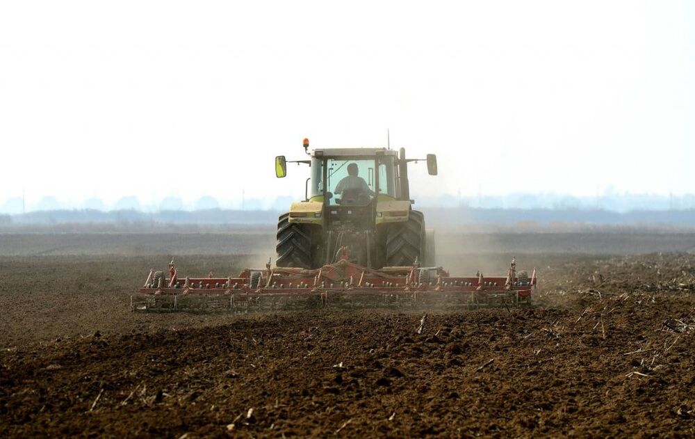 OVO ĆE BITI NAJSKUPLJA SETVA U ISTORIJI! Hektar setve pšenice ratare će ove jeseni koštati 140.750 dinara