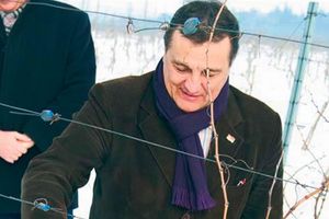 KANDIDAT DS: Zoran Živković, propali vinar i slikarski model, sad bi da bude predsednik vlade!