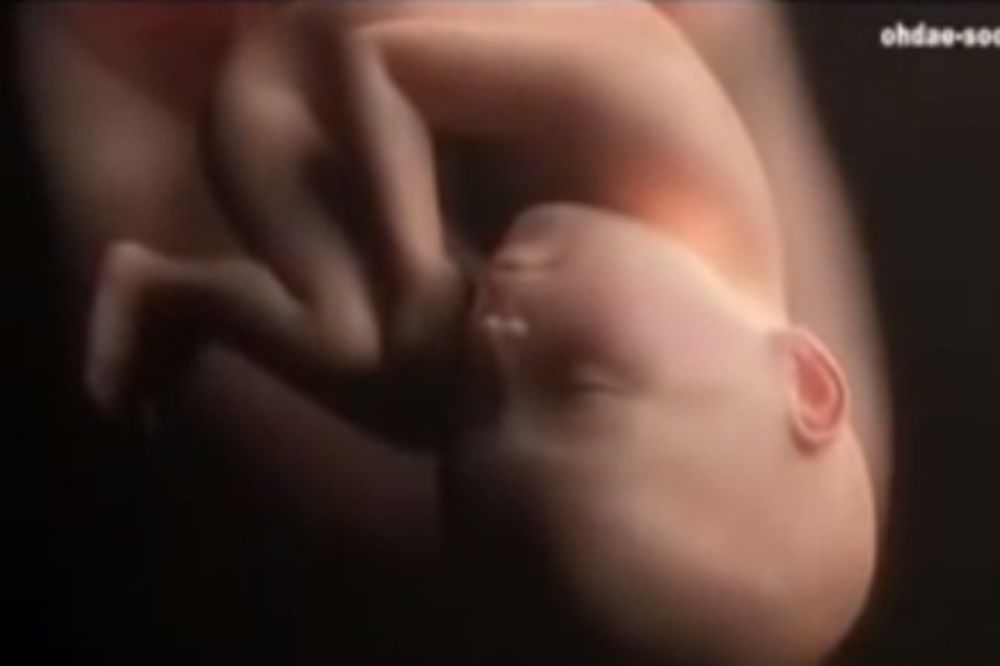 OD ZAČEĆA DO ROĐENJA: Pogledajte kako se razvija život u stomaku trudnice
