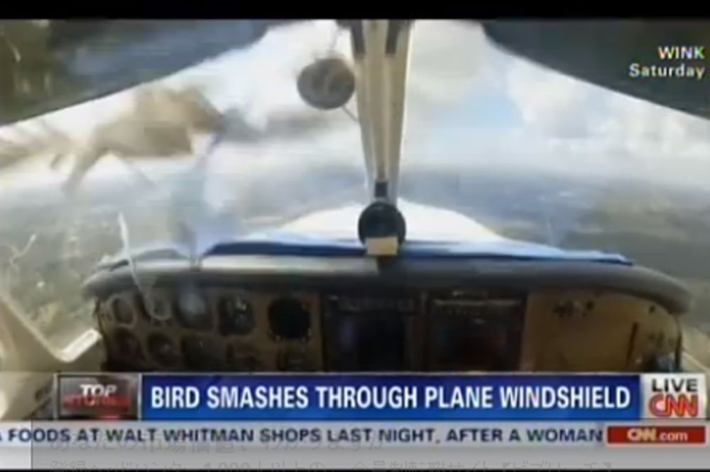 PANIKA NAD FLORIDOM: Pogledajte udar ptice u glavu pilota!