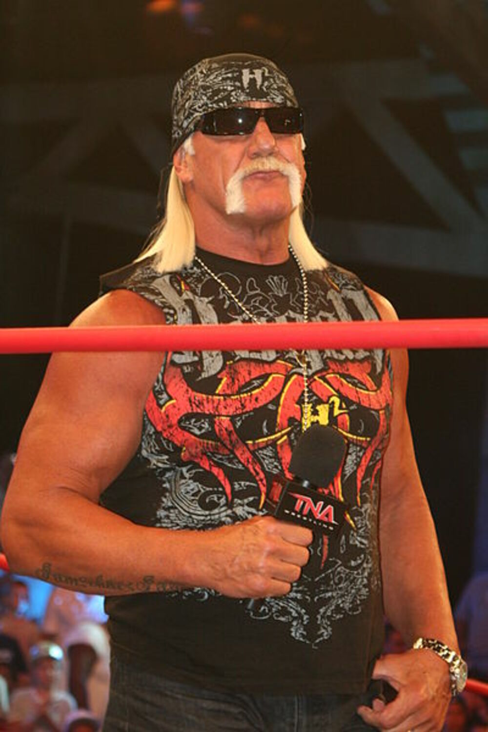 Vikipedija, Hulk Hogan