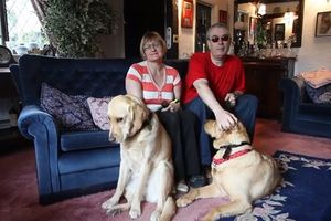 SUDBINA: Psi vodiči spojili slepi par!