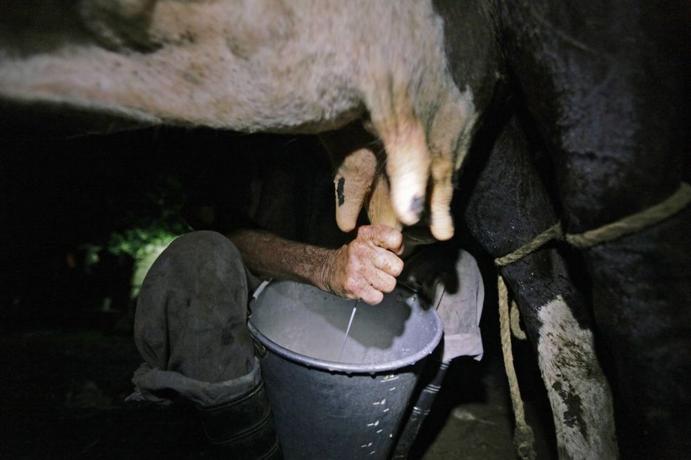 ZATAŠKAVALI: Fabrika cementa zatrovala mleko u Austriji!