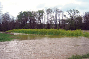 POPLAVE I U OBRENOVCU: Zbog izlivanja reke Peštan ugrožena dva sela!