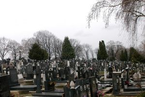 INICIJATIVA ZA NOV ZAKON O SAHRANJIVANJU: U Beogradu ima 150 nelegalnih grobalja!