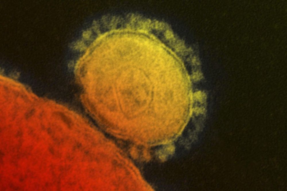 JEZIV EKSPERIMENT: Stvorili virus nalik gripu koji je ubio 50 miliona ljudi!!