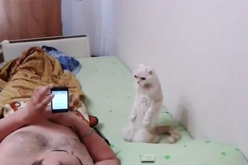 RUSKI PATRIOTA: Maca stane u stav mirno kad čuje himnu Rusije!