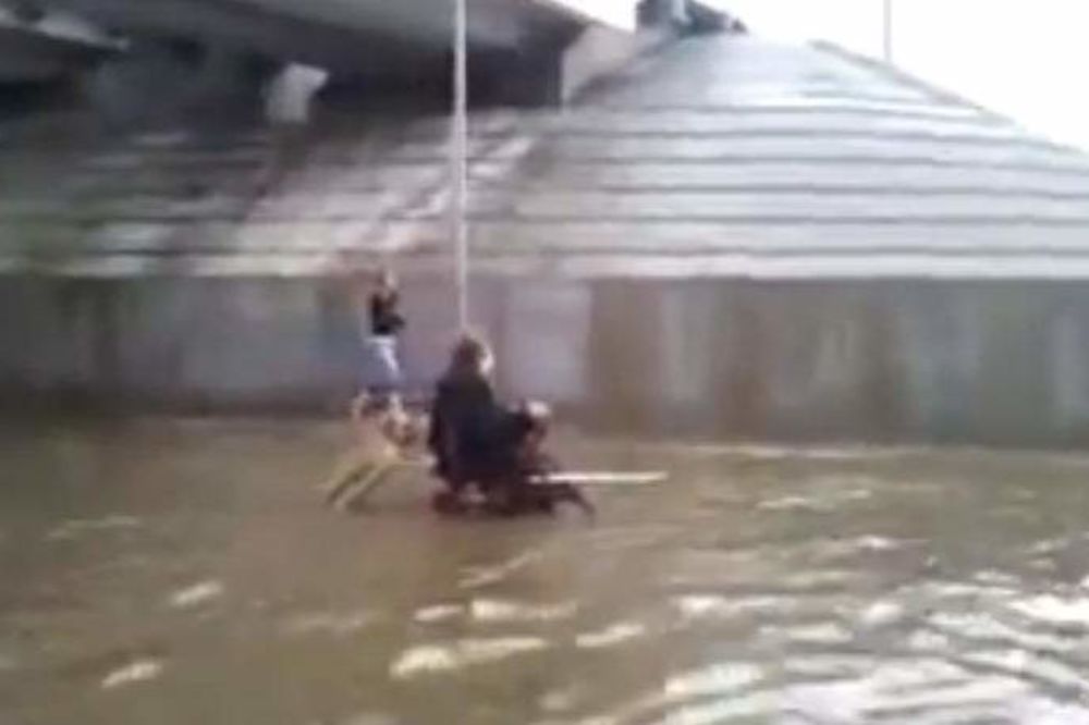 ČISTA LJUBAV: Pas gura hendikepiranog vlasnika kroz poplave!