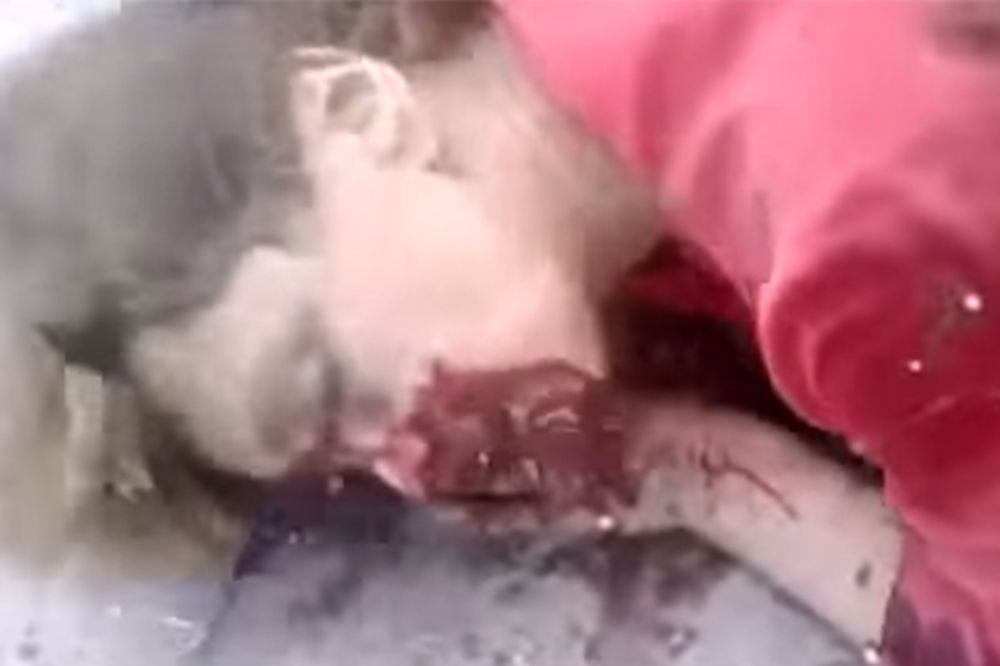 (VIDEO 18+) KLANICA U LUGANSKU: Iskasapljena tela i reke krvi posle ukrajinskog napada