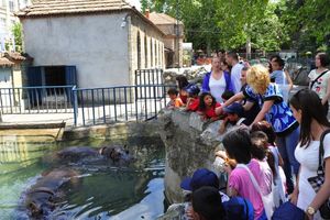 BEOGRAD: Deca iz Svratišta posetila Zoološki vrt!