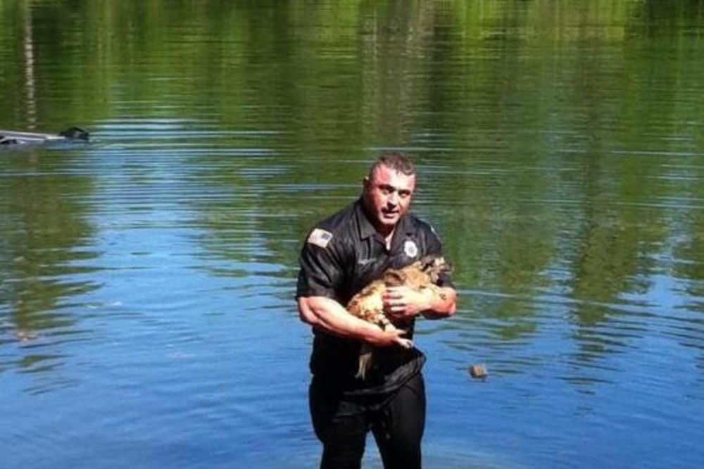 (FOTO) Policajac zaronio u jezero da izvuče psa iz smrskanog auta!