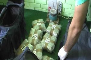 NOVI SAD: Crnogorac i Novosađanka uhapšeni sa više od 40 kg skanka!