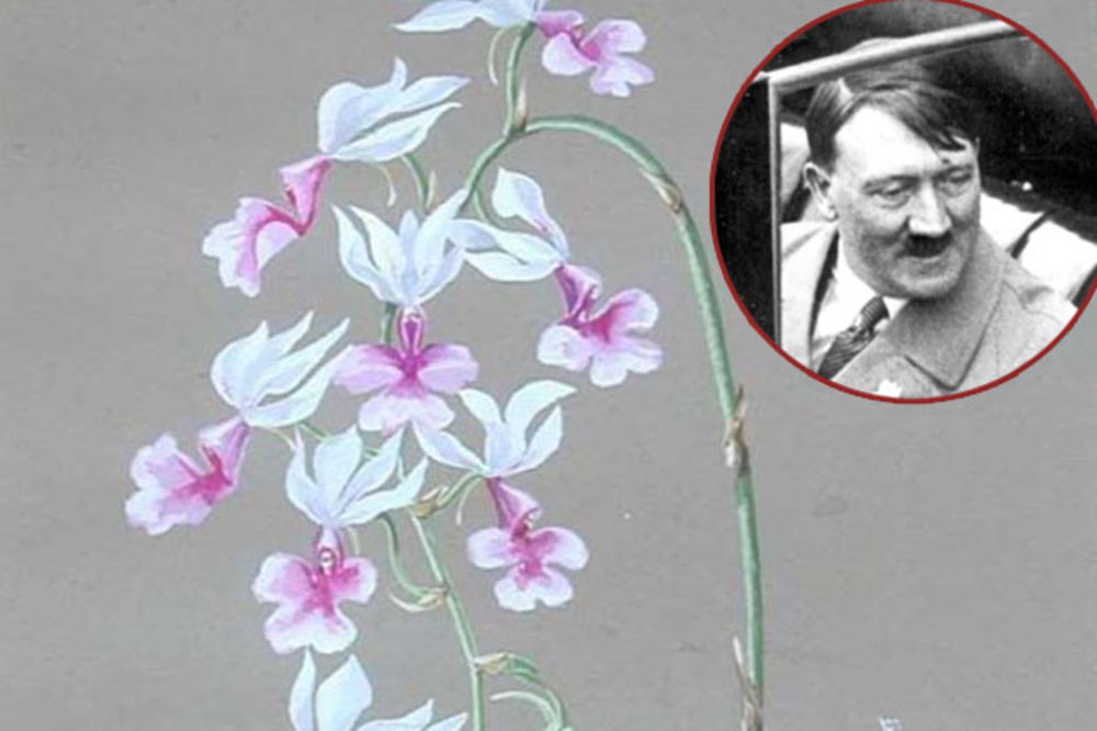 (FOTO) TAJNA SUROVOG DIKTATORA: Odgovoran za smrt miliona ljudi, a slikao cvetiće i pejzaže!