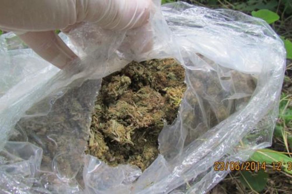 VELIKA PLANA: Policija sprečila kupoprodaju 5,3 kilograma skanka!