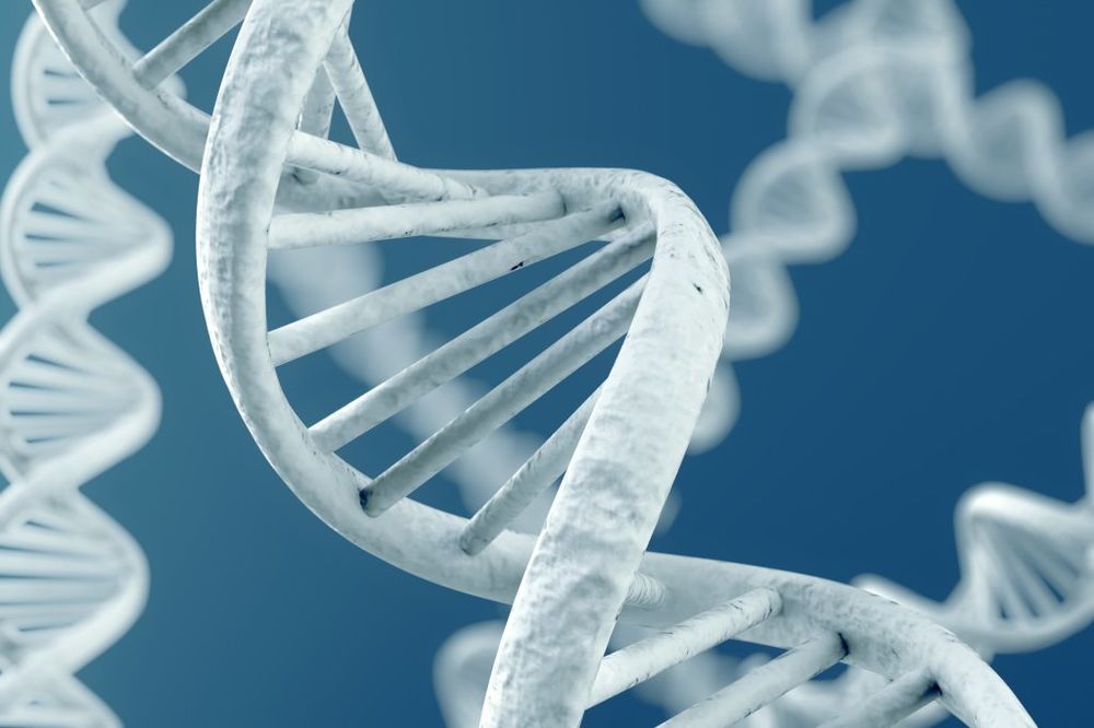 SVI PODACI SVETA STAJU U KAŠIČICU: Sve staje u gram DNK diska!