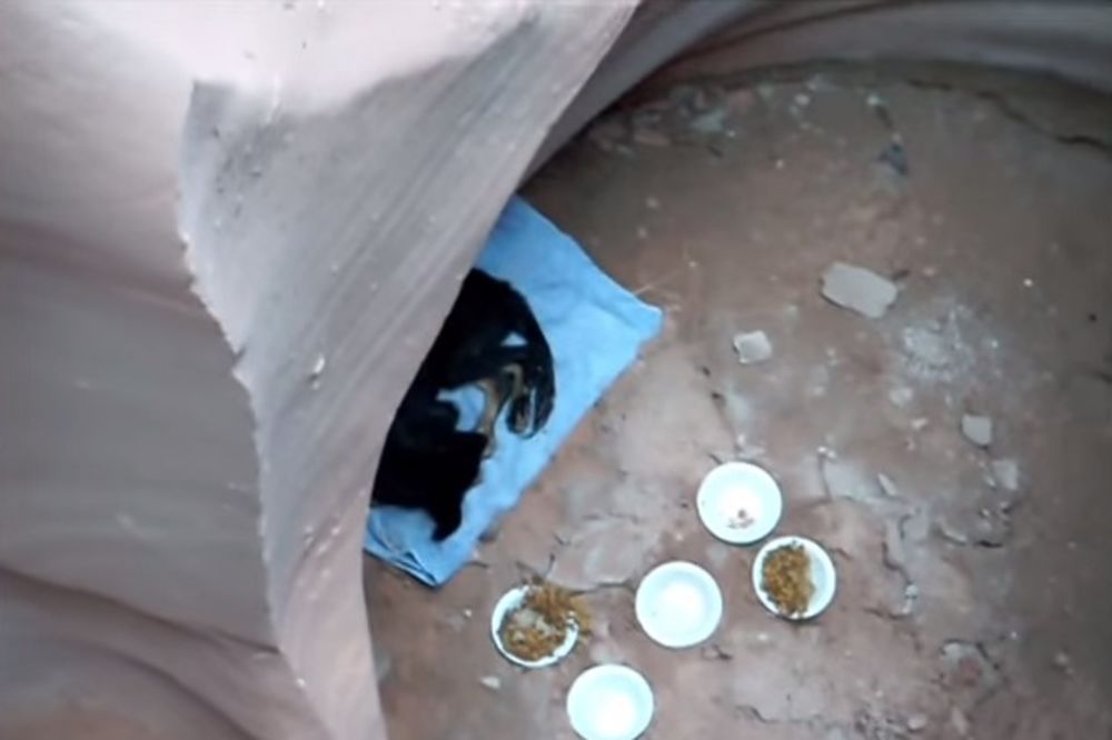 JEDVA DAVAO ZNAKE ŽIVOTA: Pogledajte dramatično spasavanje šteneta sa dna kanjona