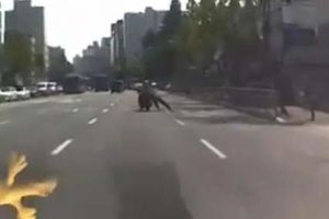 REŠIO DA GA UHVATI: Motorista vukao policajca po ulici Seula